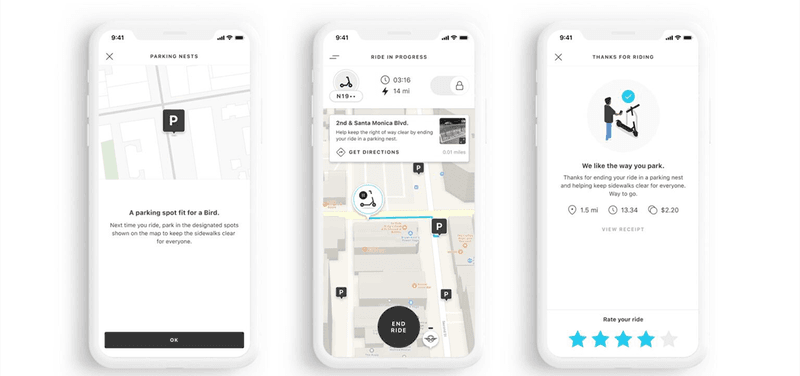 bird loyalty features apps