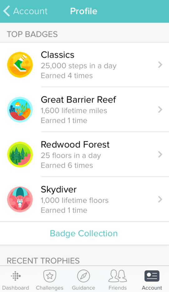 Gamification badges for user achievements
