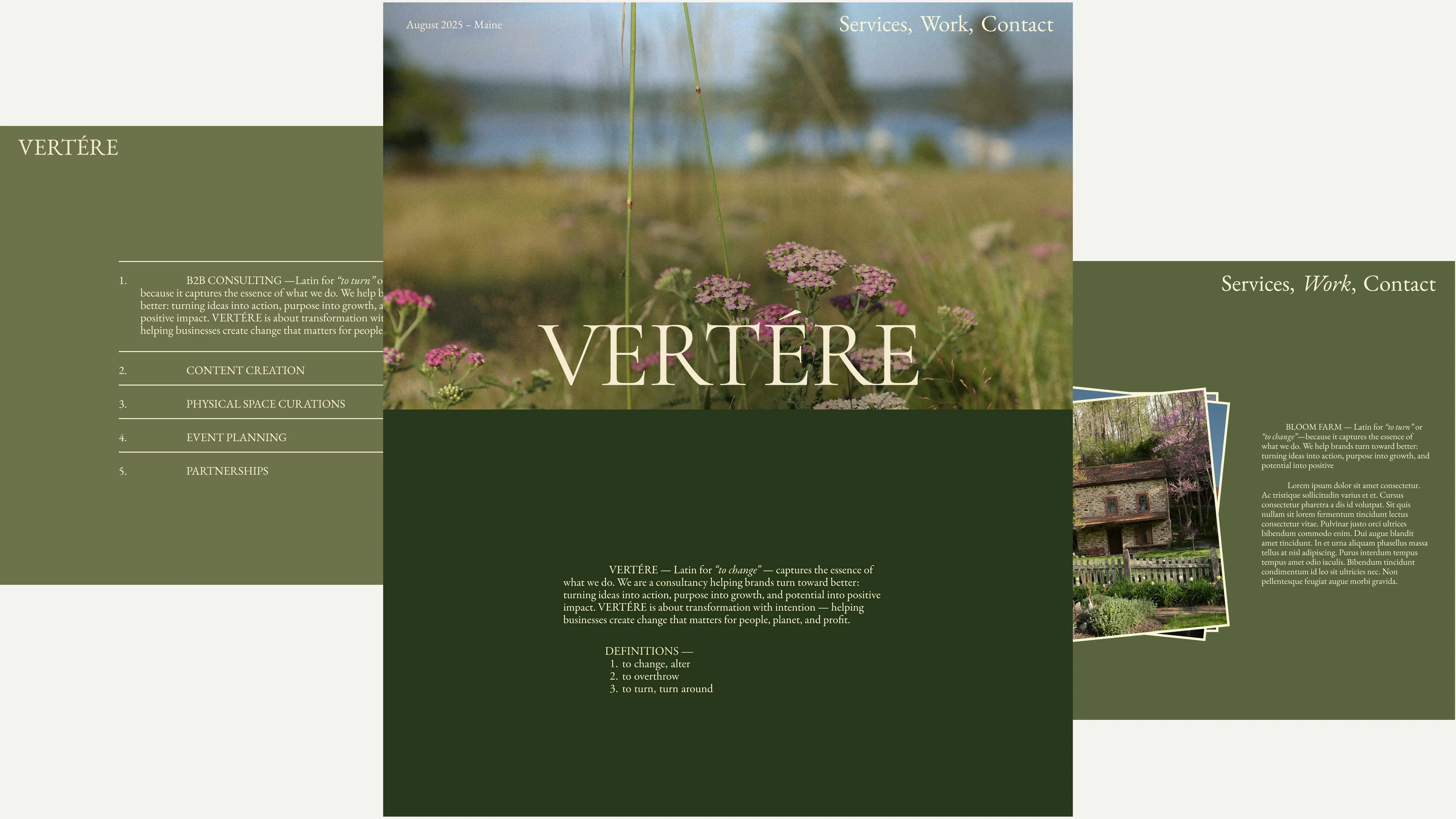 Website homepage for VERTÉRE with nature background showing wildflowers and fields, menu options for services including consulting, content creation, event planning, and partnerships, and a definition of VERTÉRE as a consultancy focused on transformational positive impact.