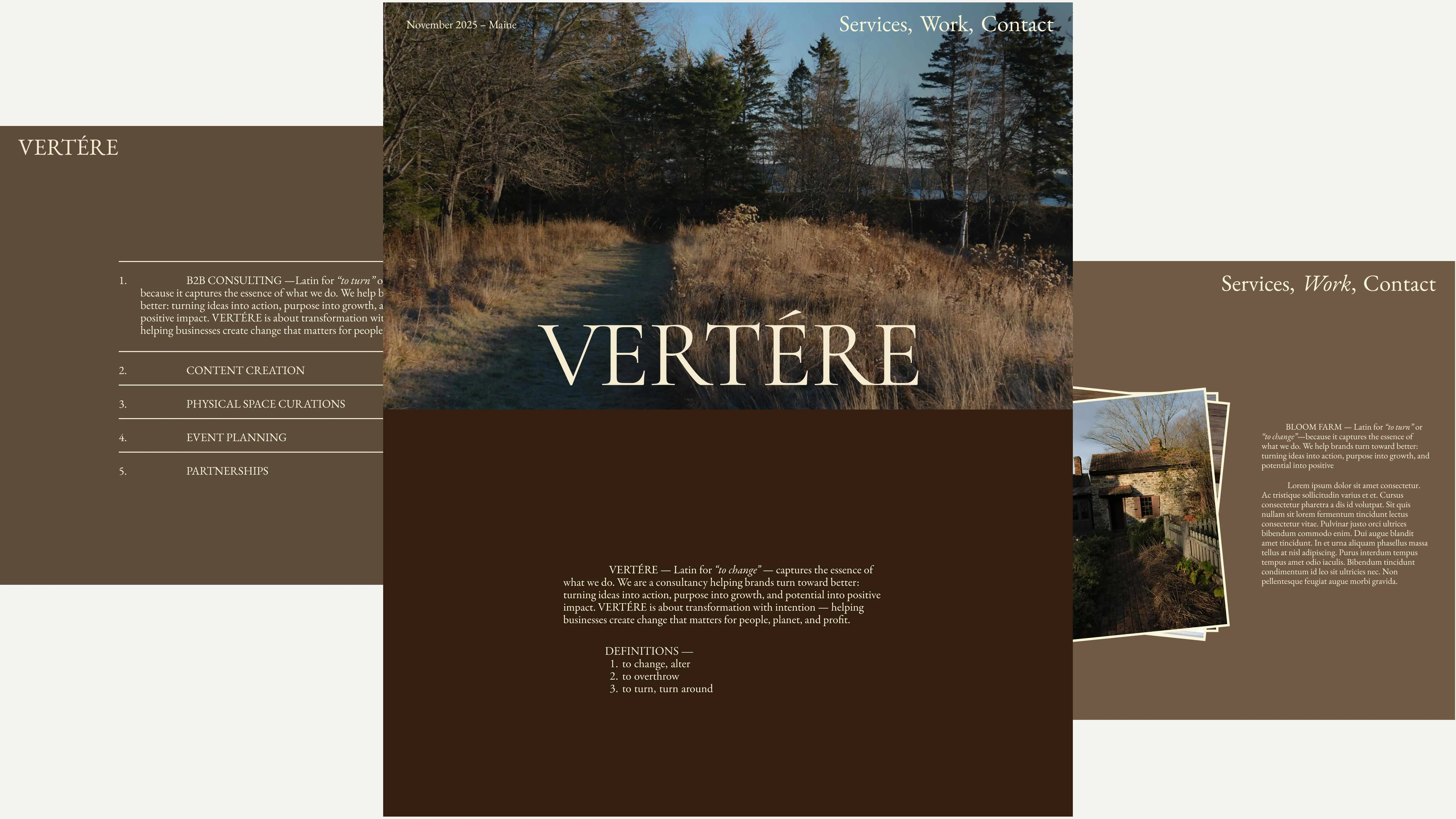 Website interface showing layout showcasing VERTÉRE with a nature path surrounded by trees and grass, definitions of 'to change,' and sections titled Services, Work, Contact.