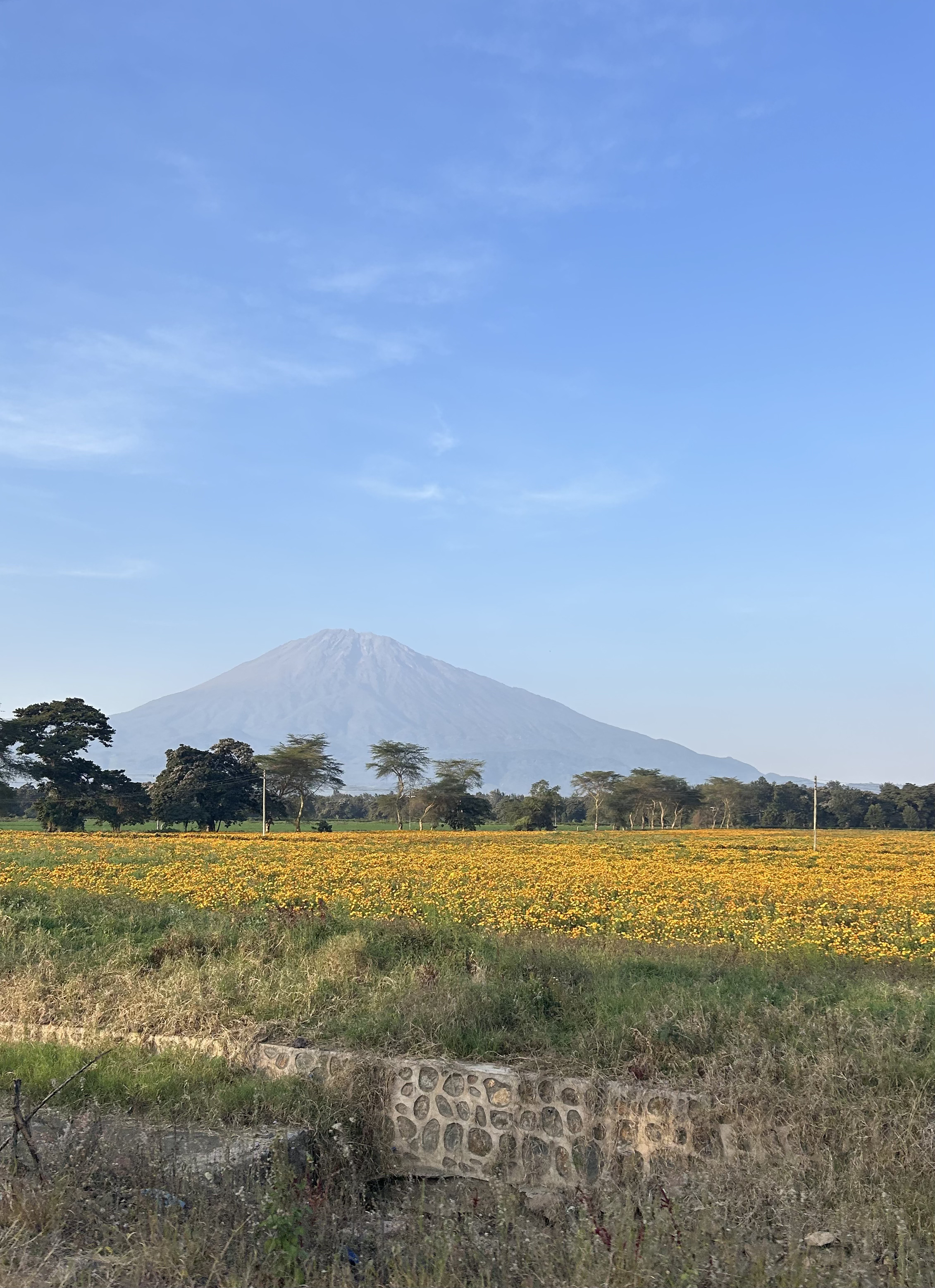 hiking on the mountain