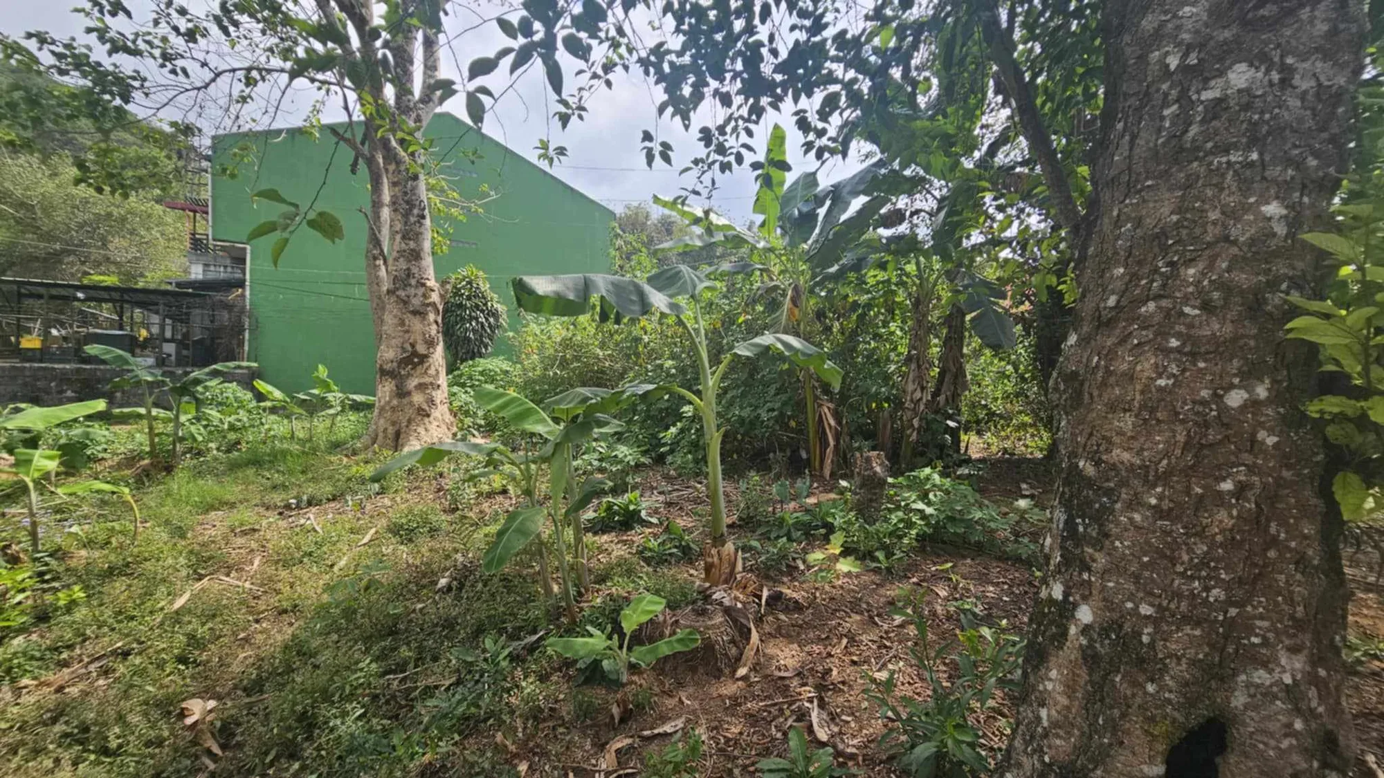 Baguio City, Benguet, Philippines