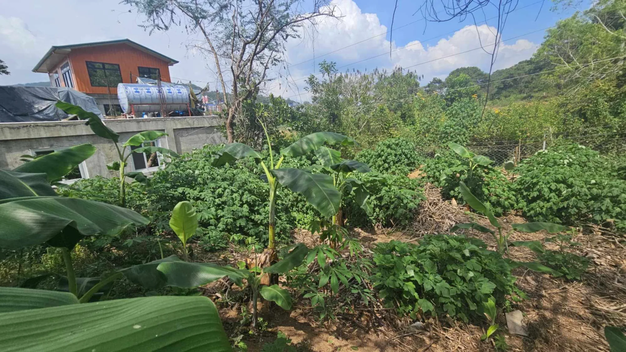 Baguio City, Benguet, Philippines