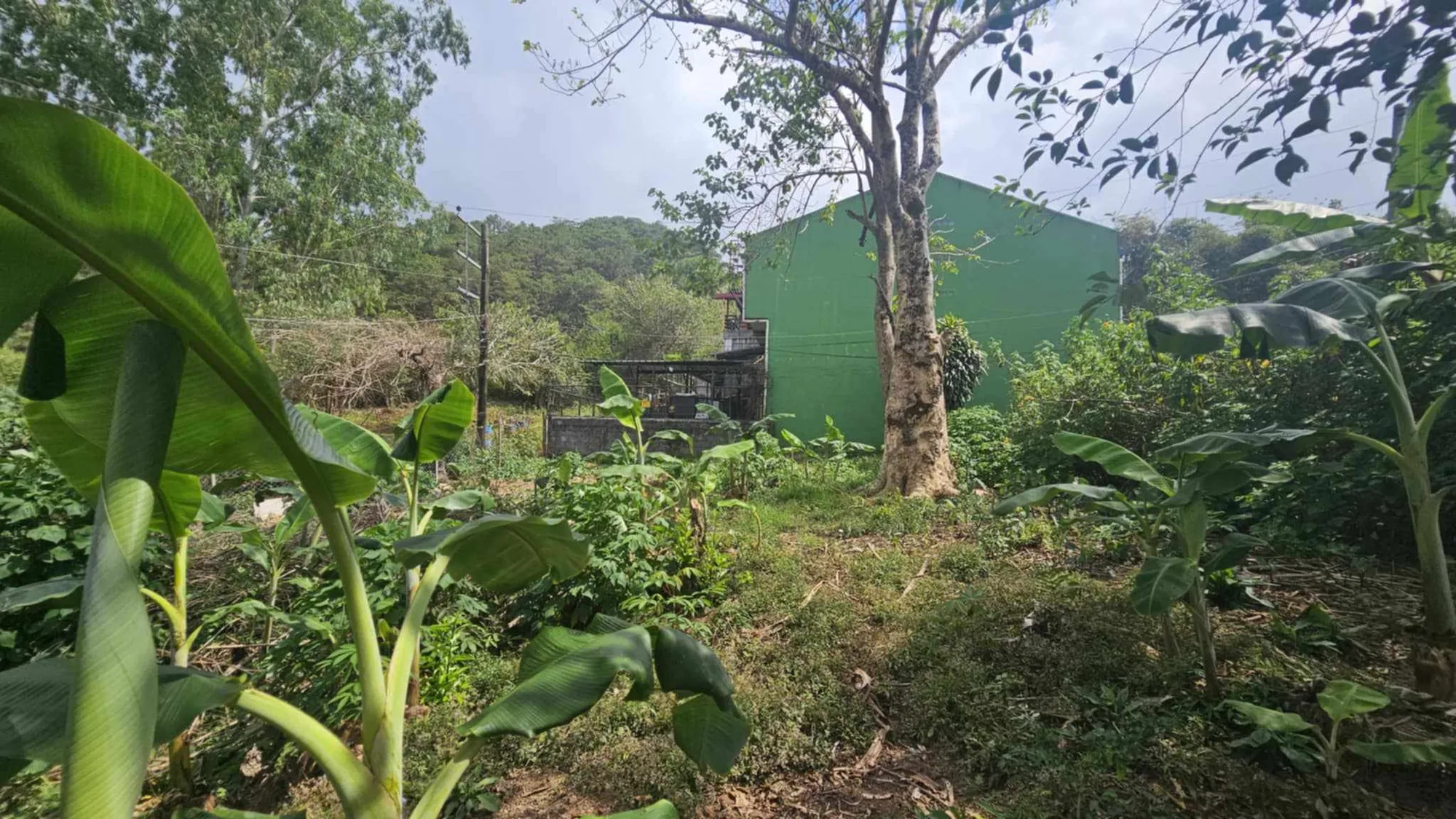 Baguio City, Benguet, Philippines