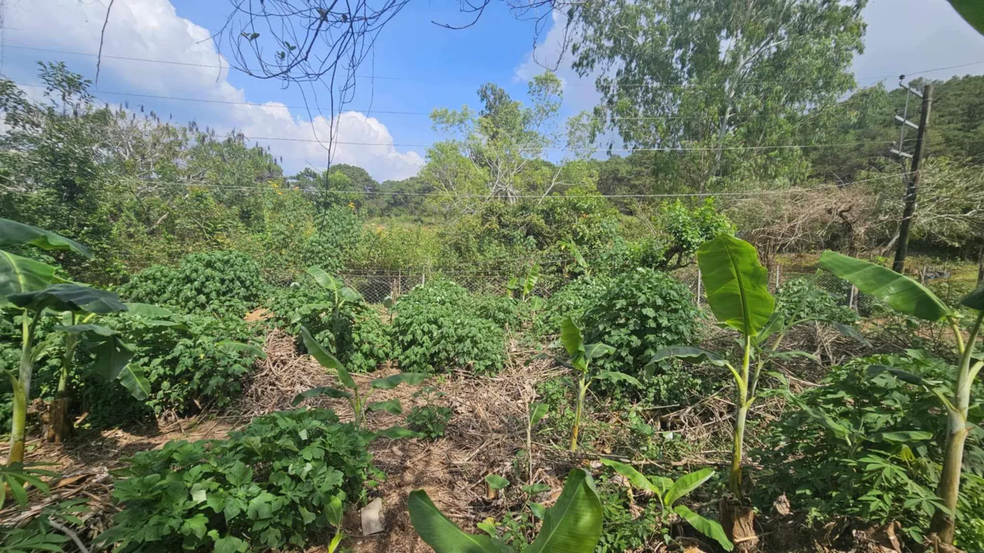 Baguio City, Benguet, Philippines