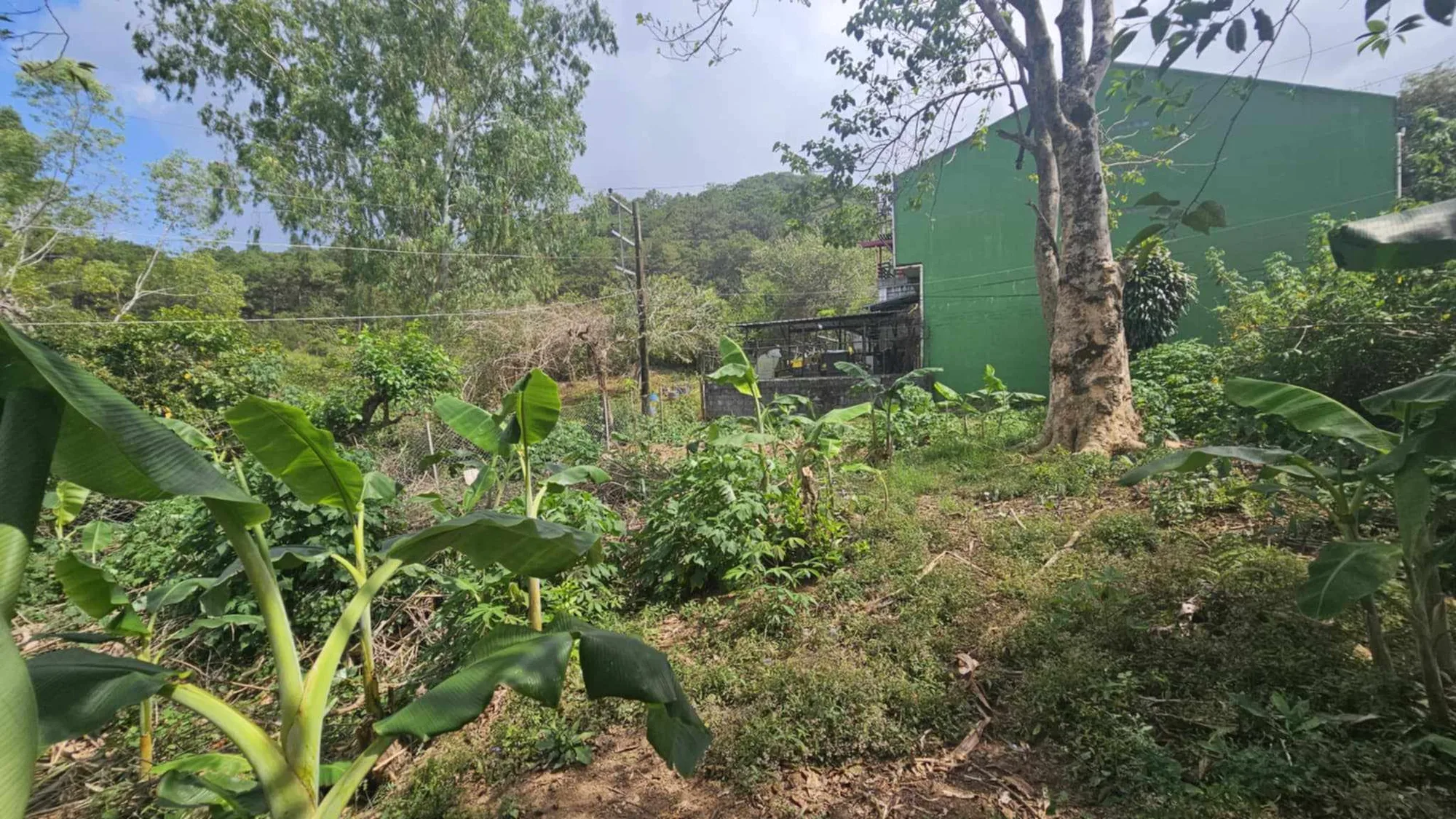 Baguio City, Benguet, Philippines