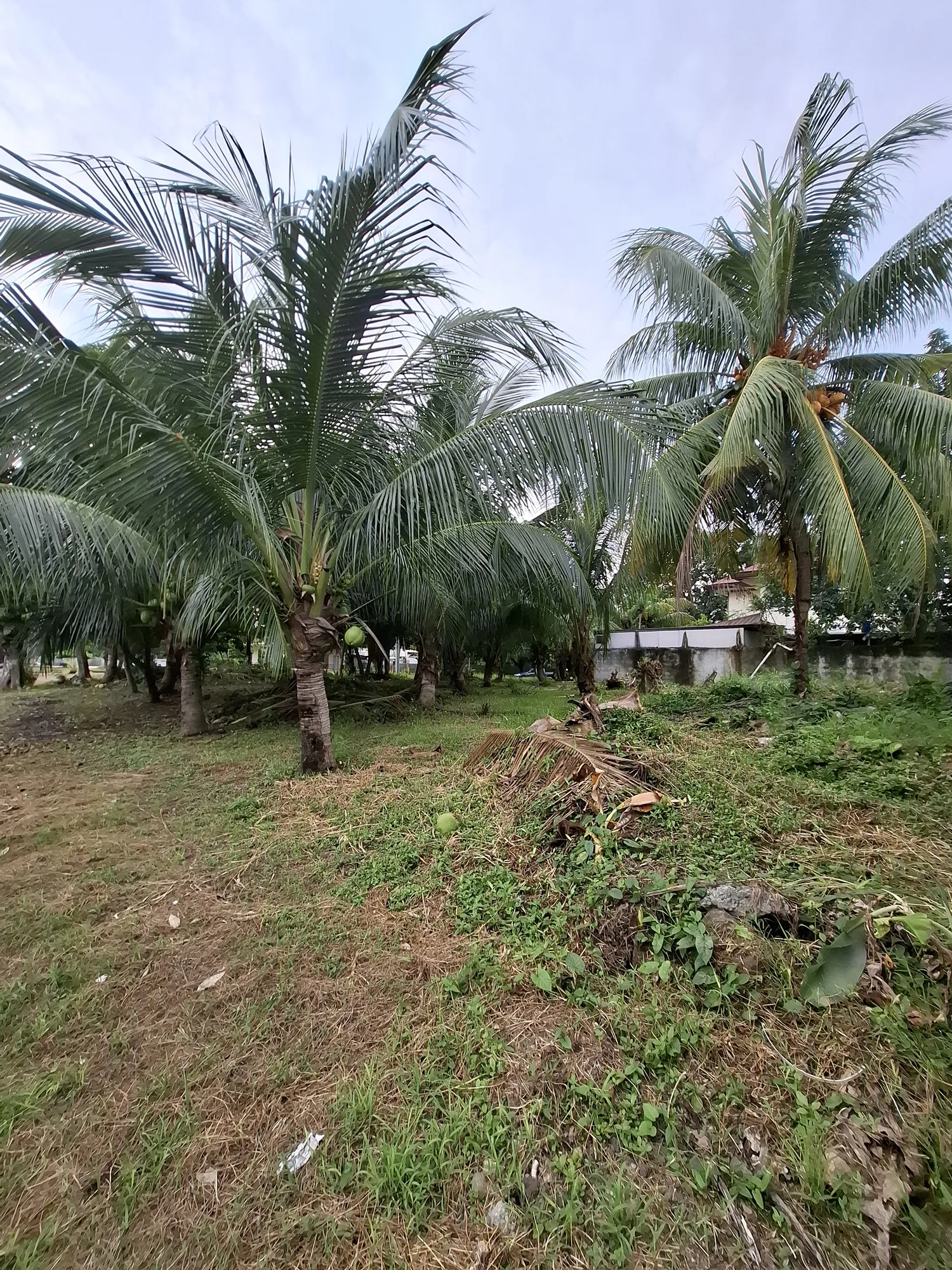 Davao City, Davao del Sur, Philippines