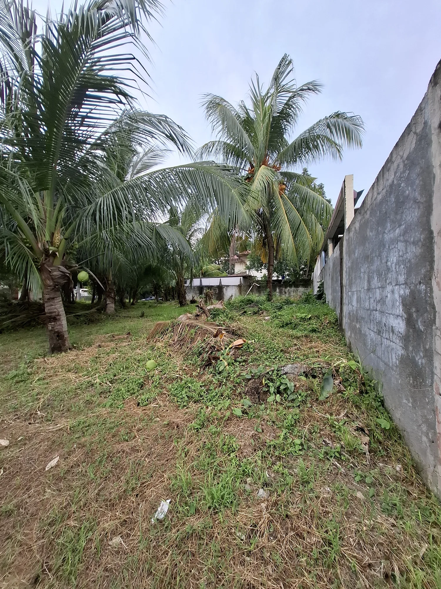 Davao City, Davao del Sur, Philippines