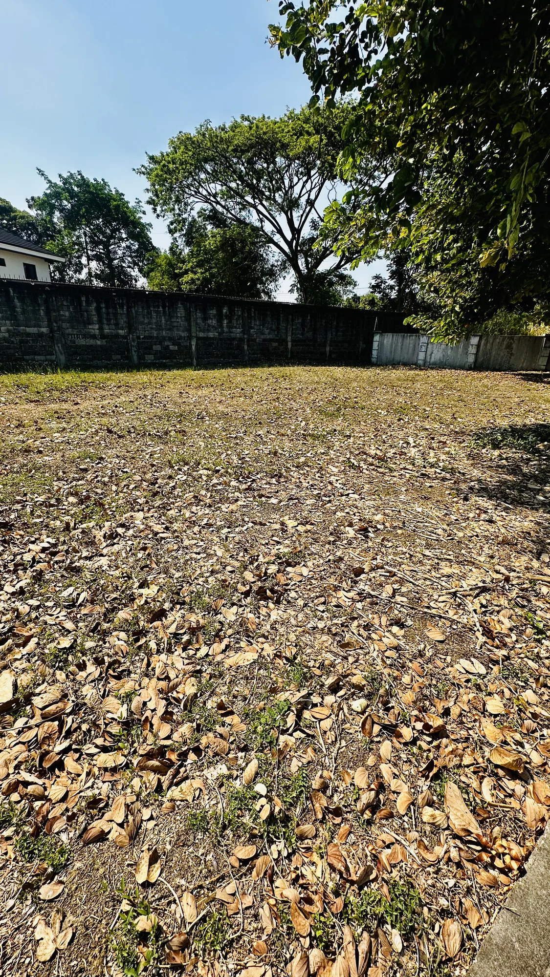 Santa Rosa, Laguna, Singapore