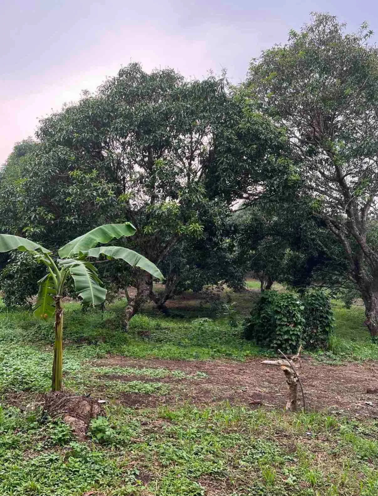 Dasmariñas, Cavite, Philippines