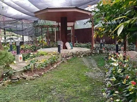 La Trinidad, Benguet, Philippines