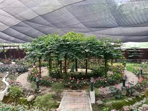 La Trinidad, Benguet, Philippines