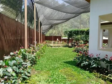 La Trinidad, Benguet, Philippines