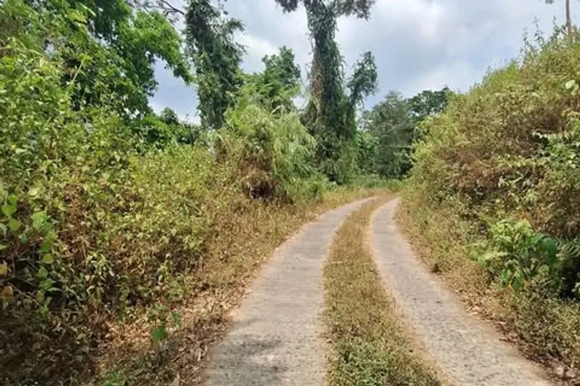 La Trinidad, Benguet, Philippines