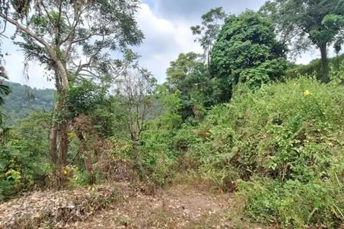 La Trinidad, Benguet, Philippines