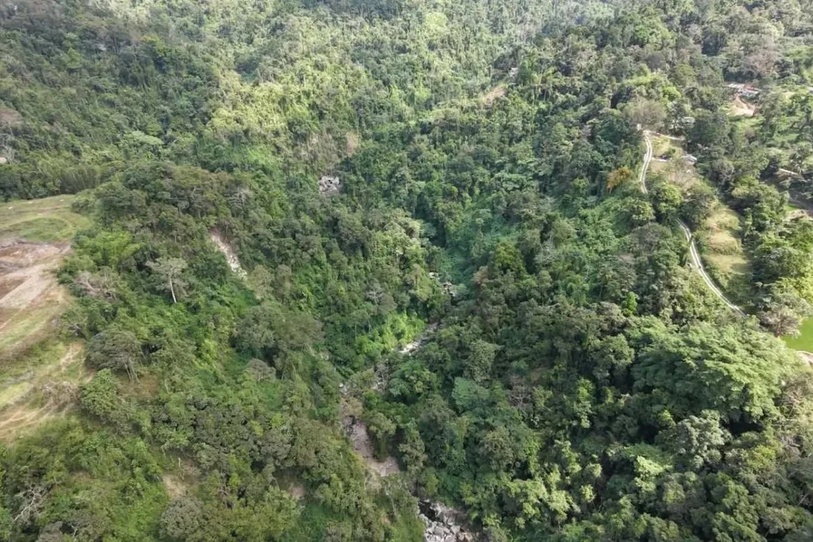La Trinidad, Benguet, Philippines