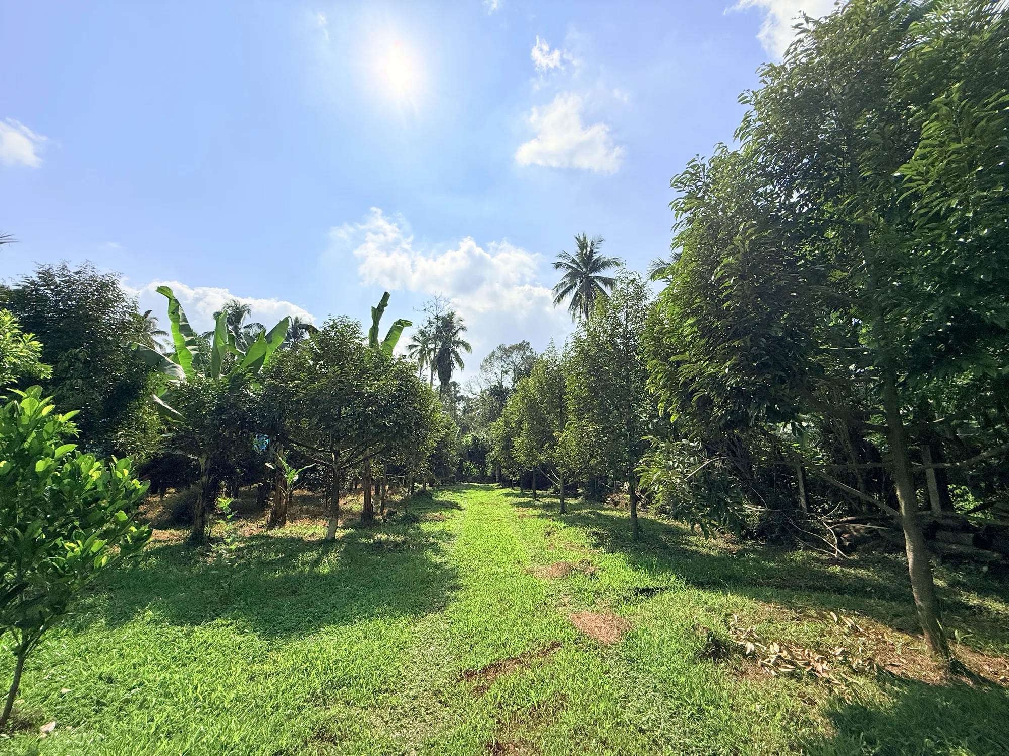 Davao City, Davao del Sur, Philippines