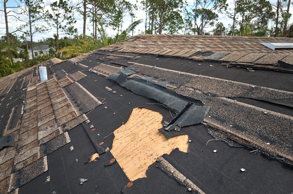 document roof damage