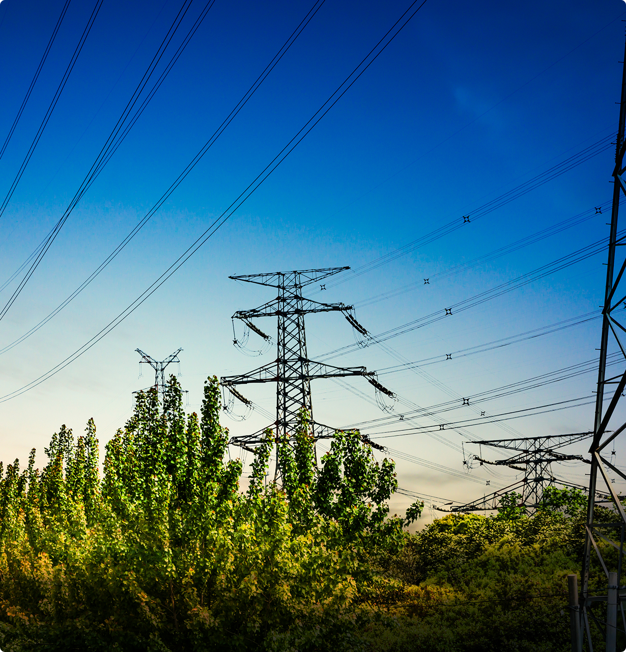 Environmental Commitment