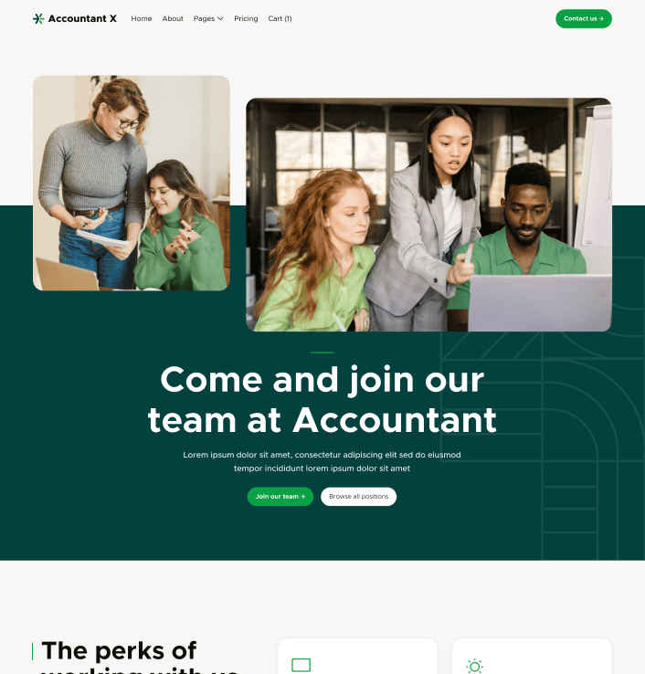 Accountant X - Careers Main Page - Accountant Webflow Template