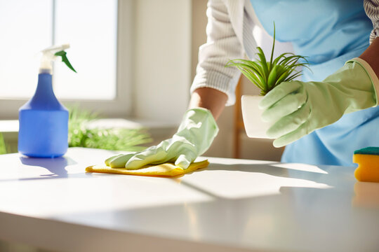 Person wearing green gloves cleaning a white surface with a yellow cloth while holding a small potted plant, with a blue spray bottle nearby.
