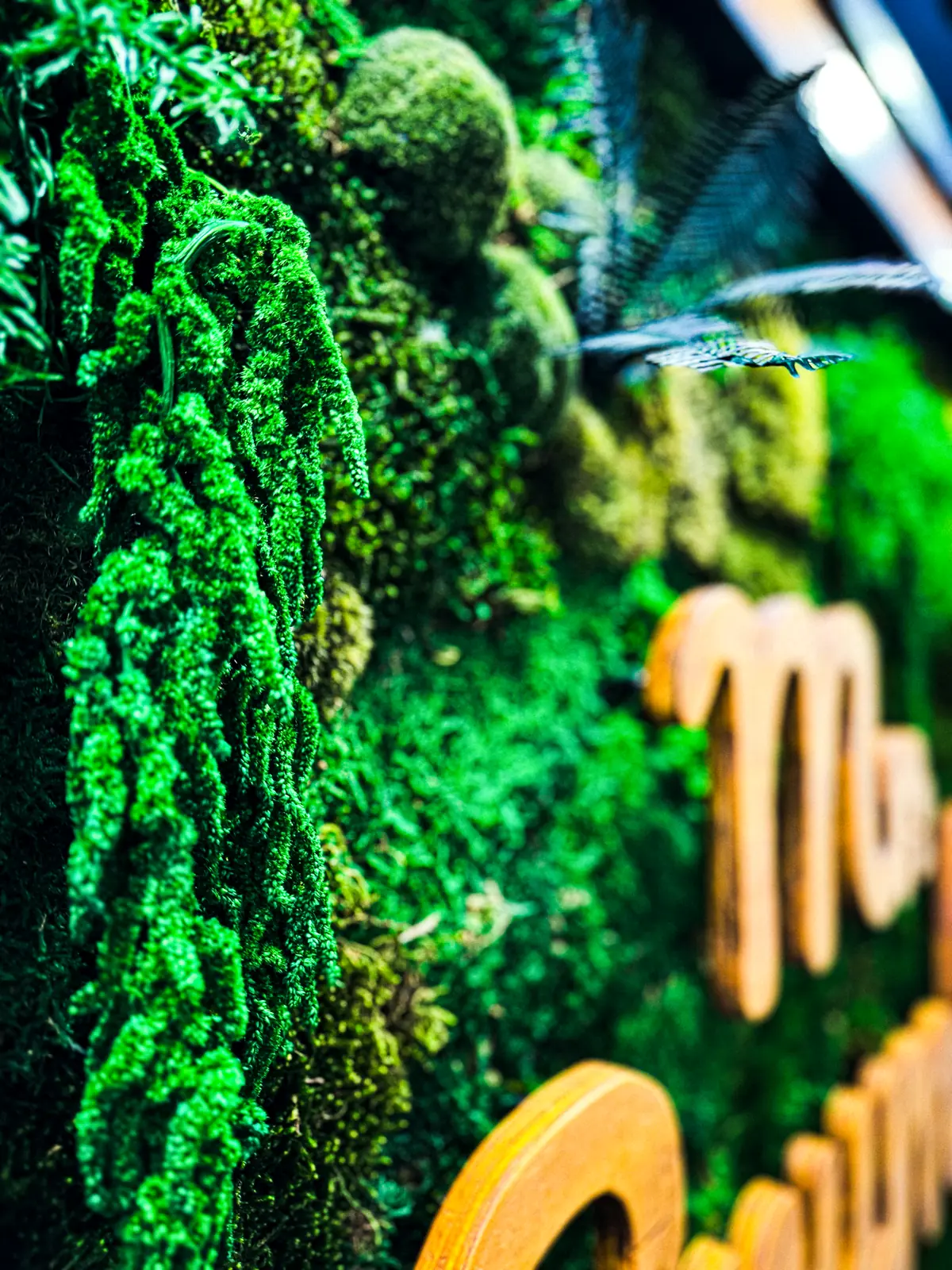 Mr. Crumble – Natürlich auffallen.