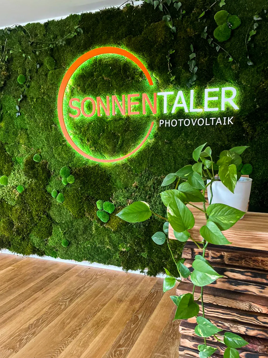 Sonnentaler – Natürliche Akzente im Konferenzraum.