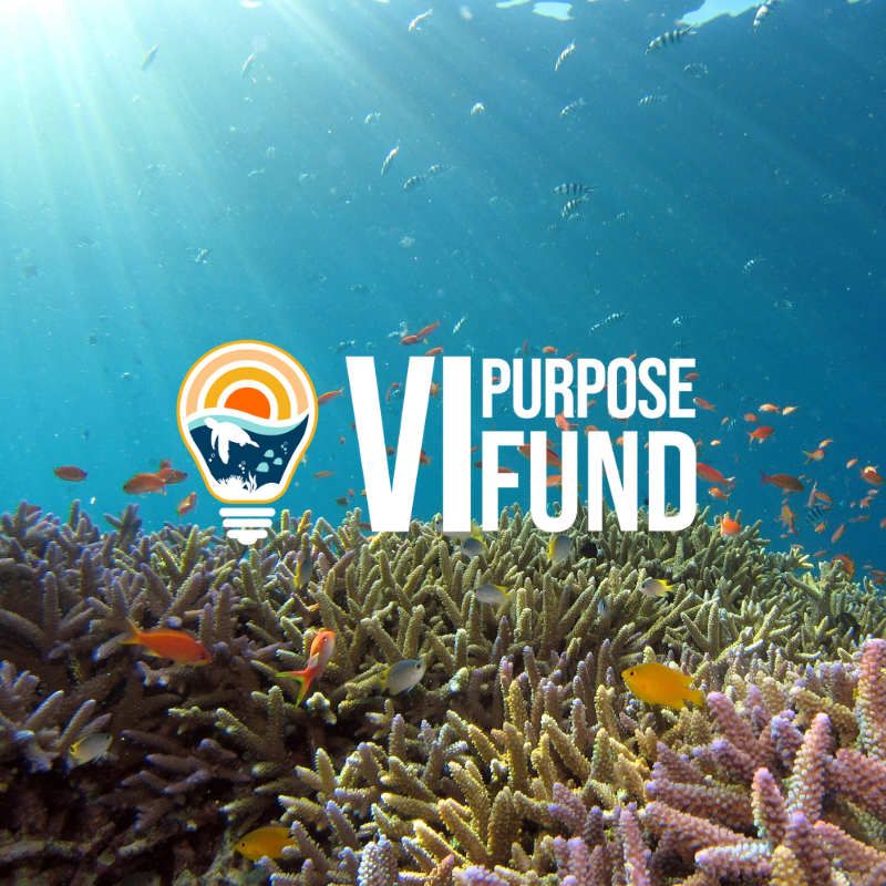 Branding a Flagship Impact Investment Initiative