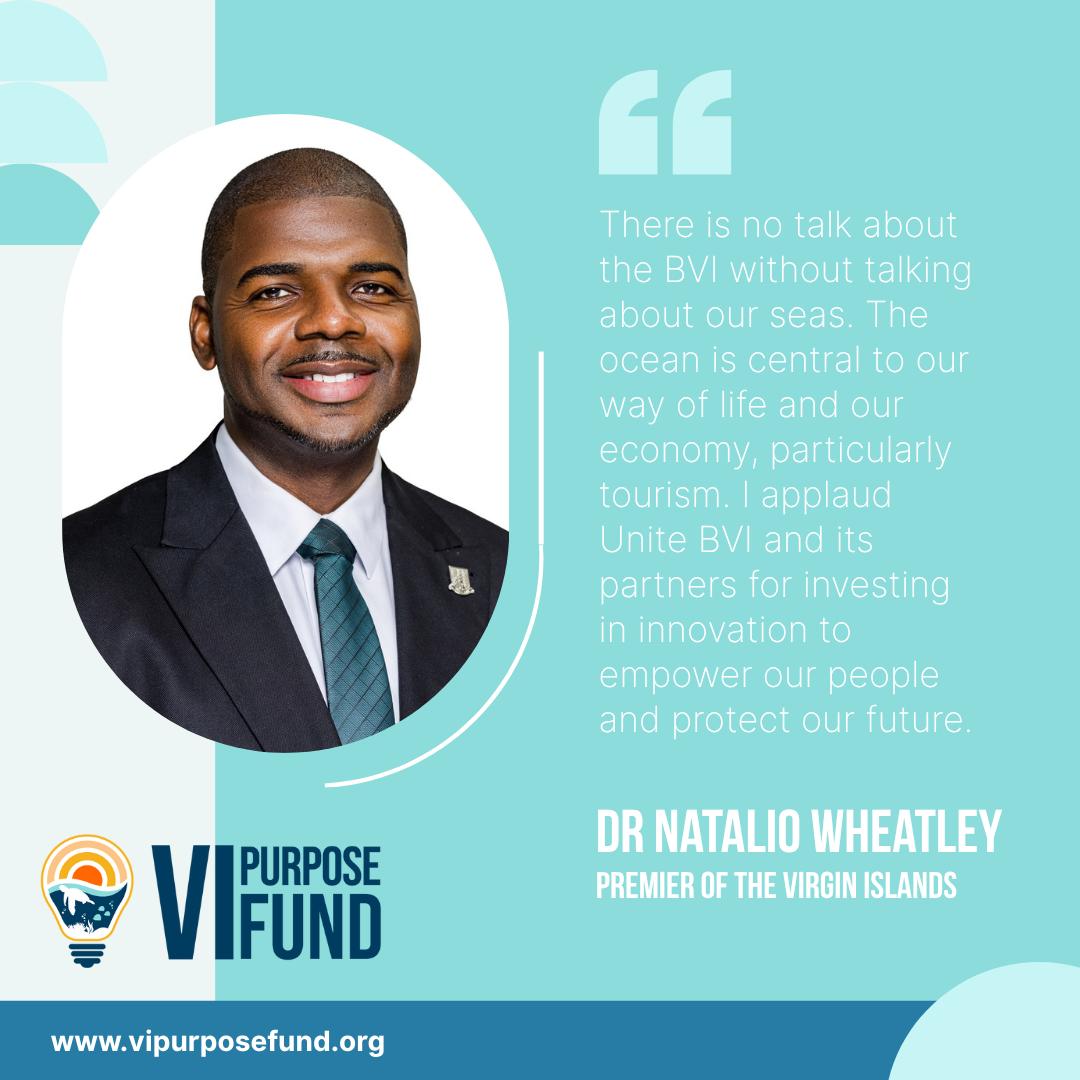 Branding a Flagship Impact Investment Initiative