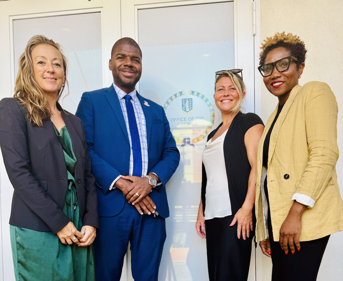 Branding a Flagship Impact Investment Initiative