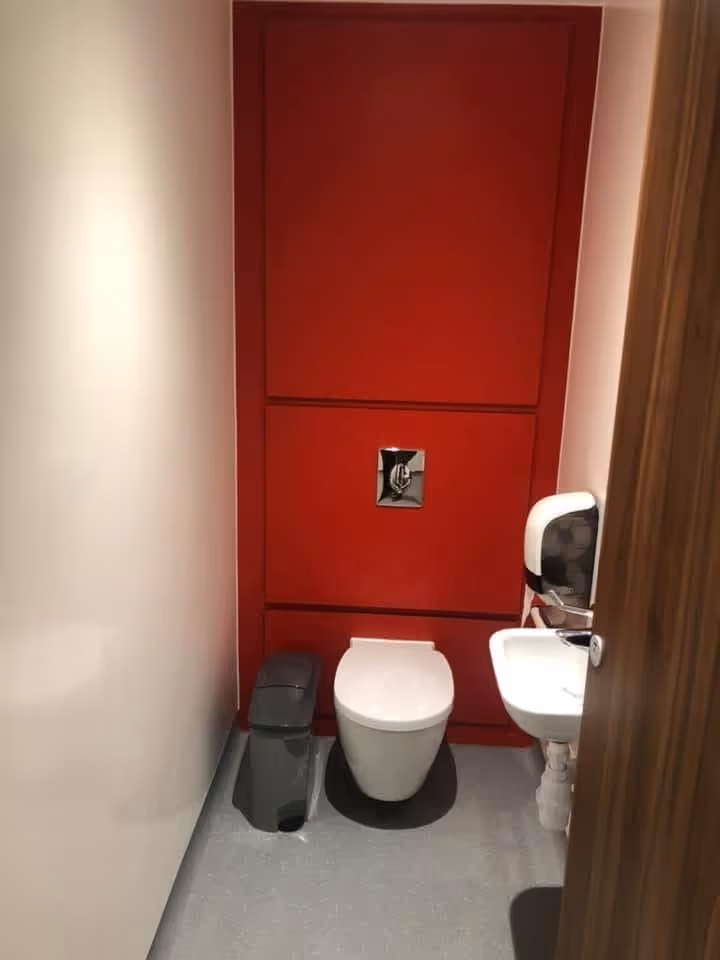 Small modern restroom featuring a white toilet centered against a bold red panel wall, with a gray trash bin to the left and a white sink with a soap dispenser to the right.