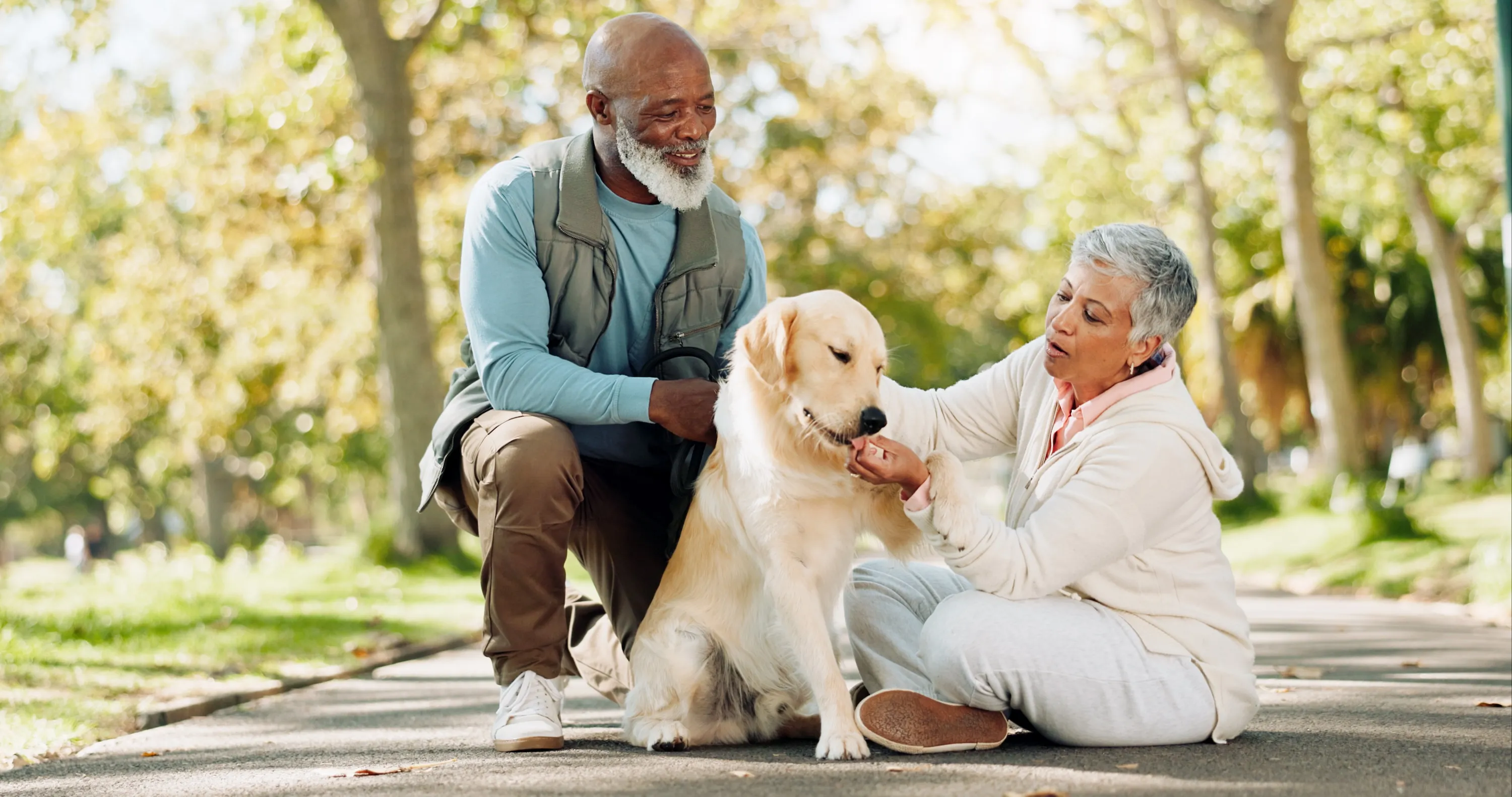 Couple with Dog Stock Photo