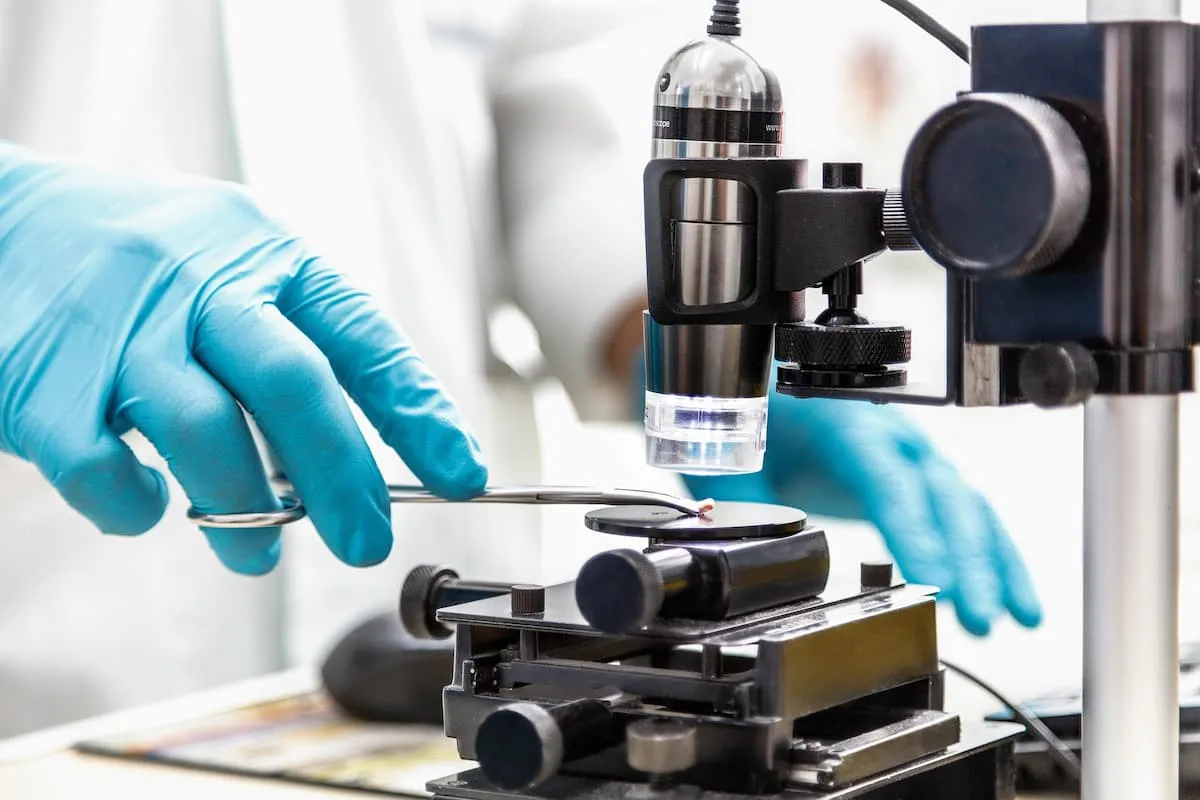 A gloved hand placing a specimen on a microscope stage using tweezers.