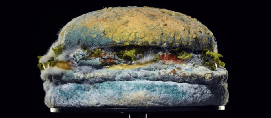 MoldyWhopper