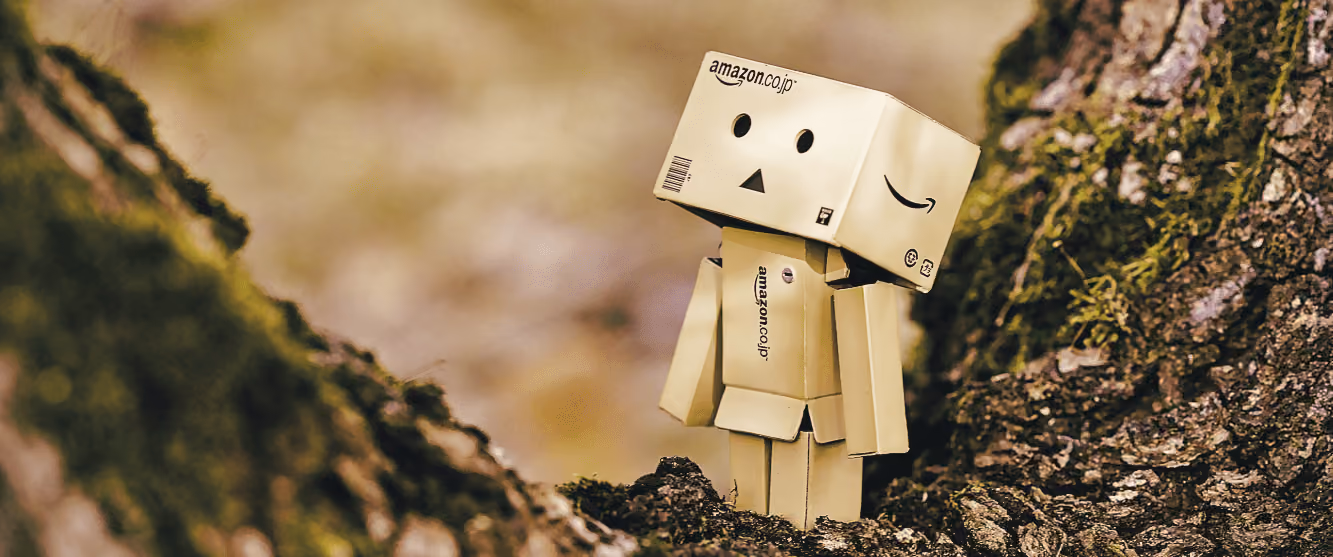 Amazon Box by Daniel Eledut
