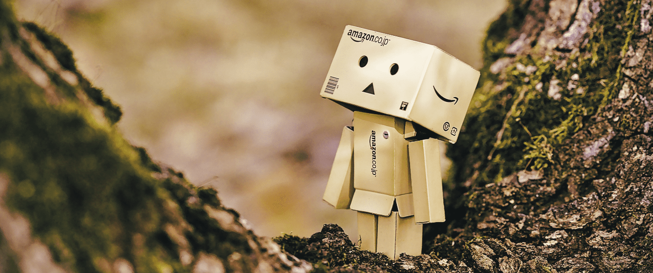 Amazon Box by Daniel Eledut