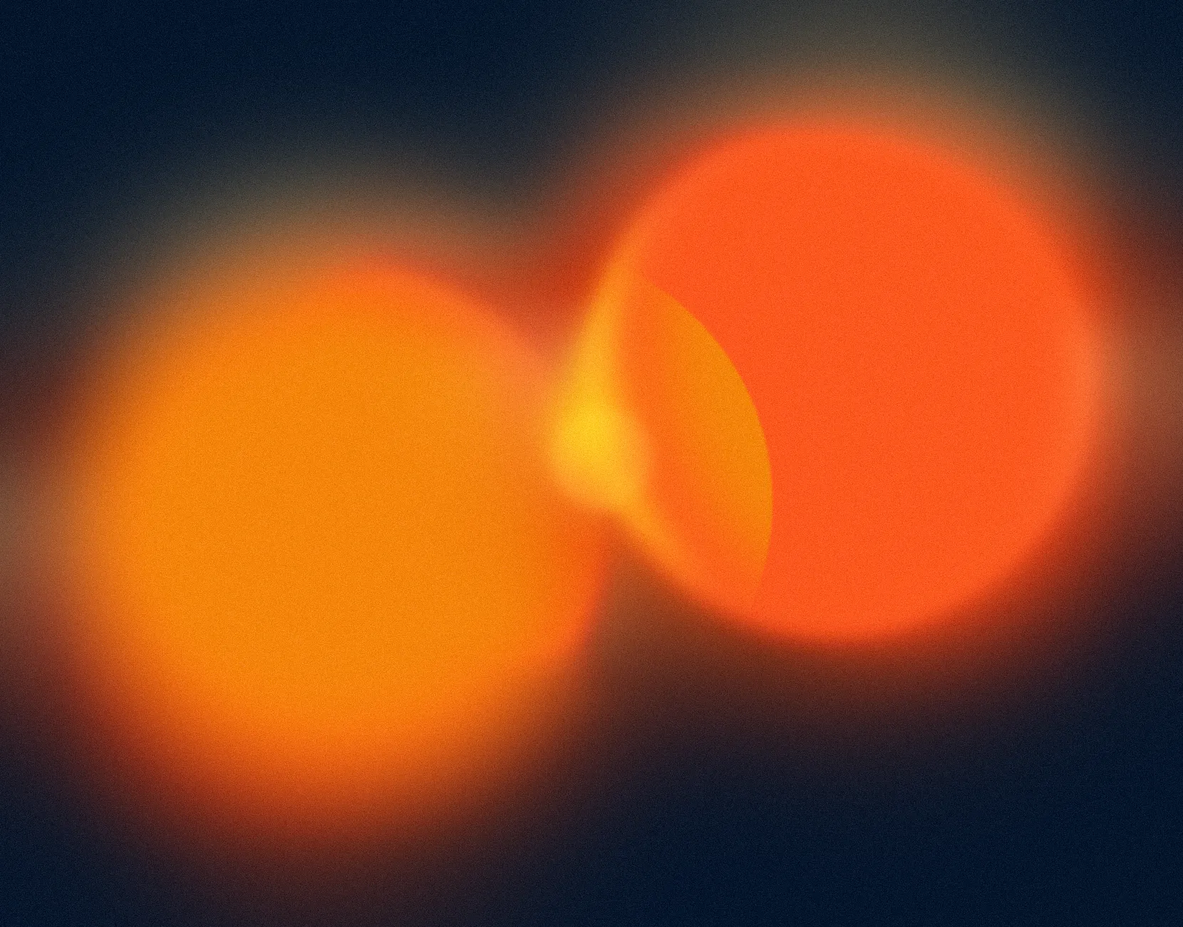 Rocket Shippers case studies — real results from DTC and B2B brands