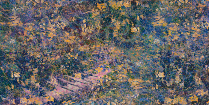 A close-up of a field of flowersDescription automatically generated