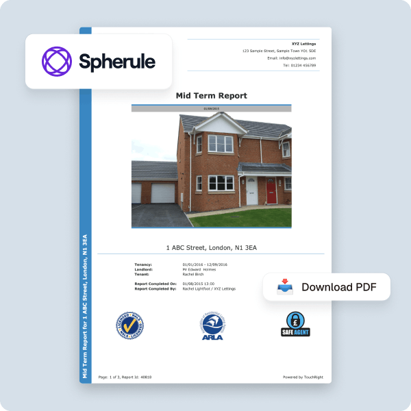 Professional reports image