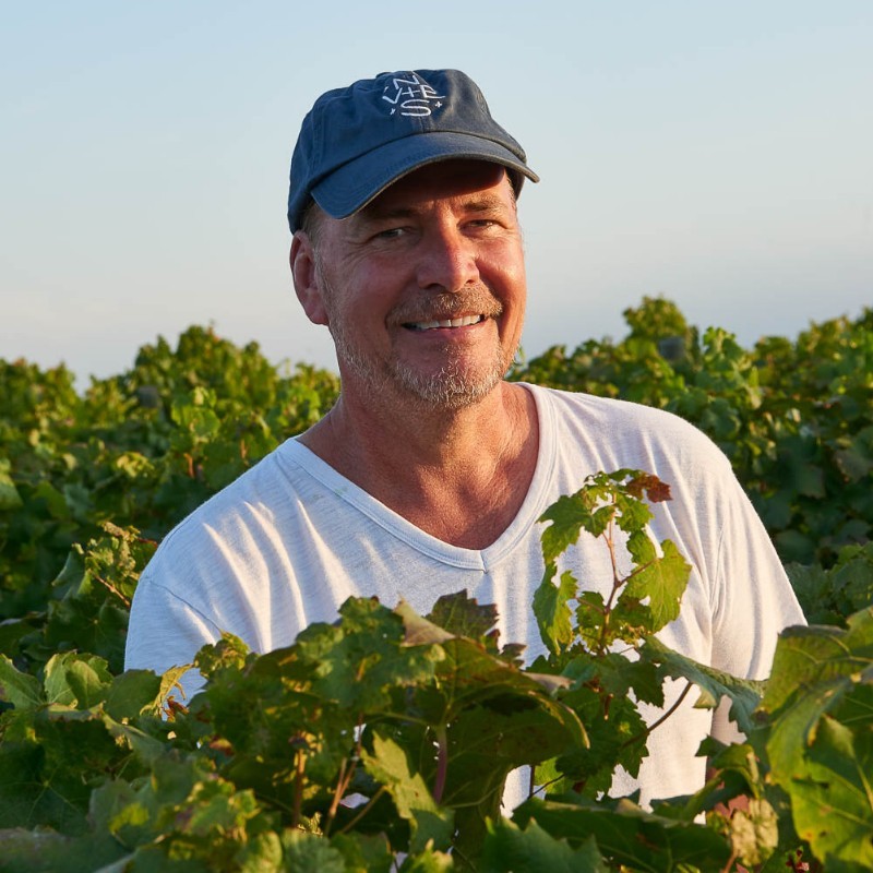 Smiling man wearing a navy cap and white t-shirt standing in a green vineyard under clear sky.