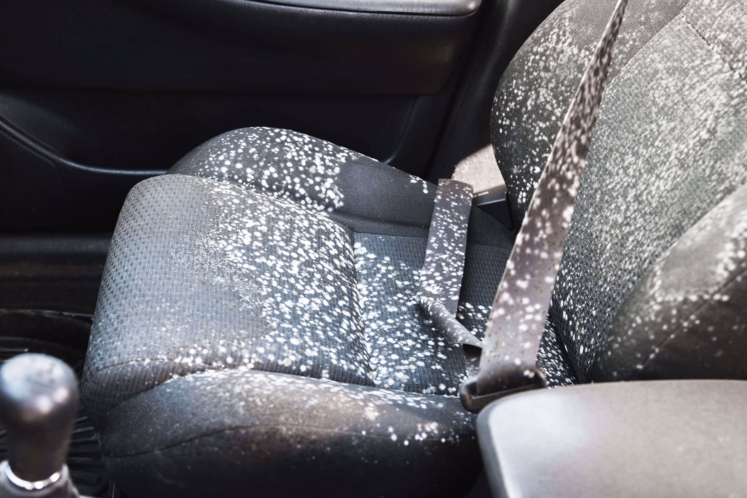 Fabric Seats are cleaned and mould / mildew spores killed with high-temperature steam to clean and sanitise the seats