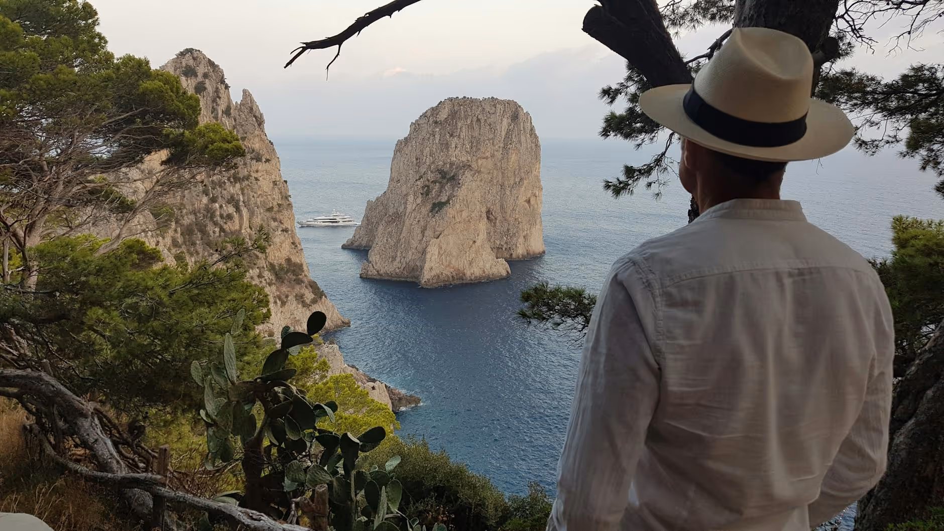 Person in white shirt and hat looking at large rock formations in blue sea from a forested cliff.