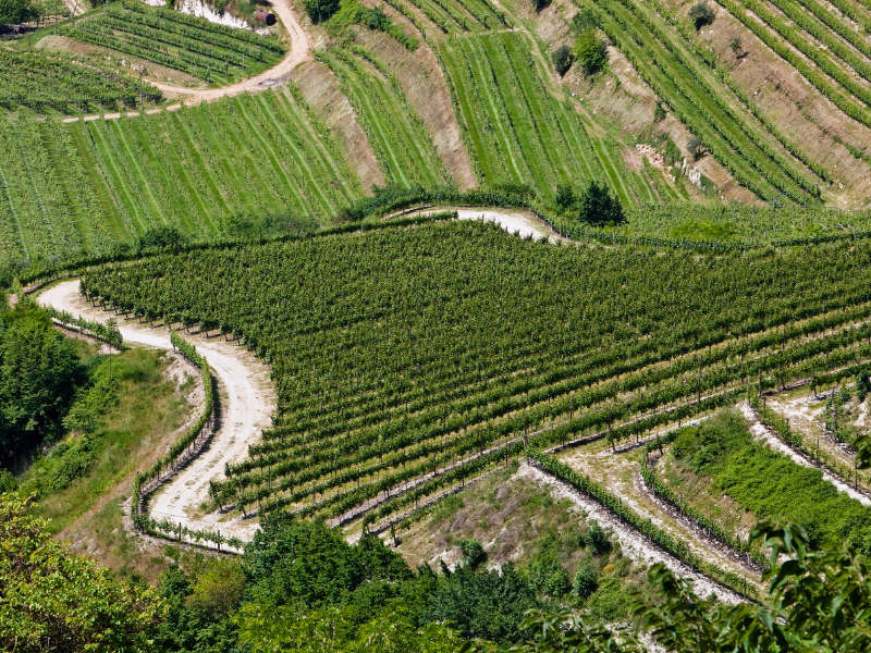 Valpolicella Day Trip