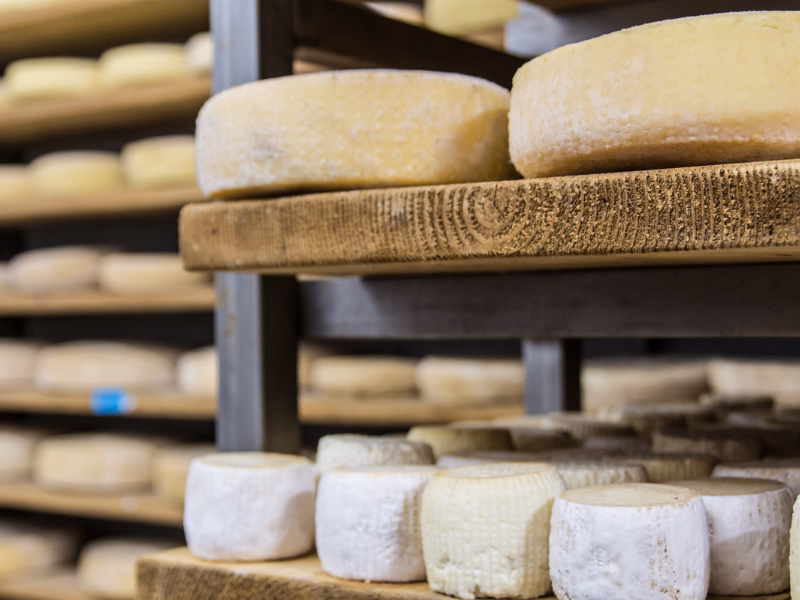 Ossola Valley Cheese