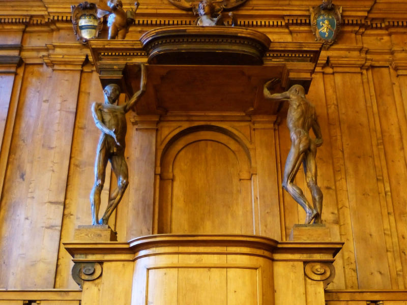 The Medical Theater