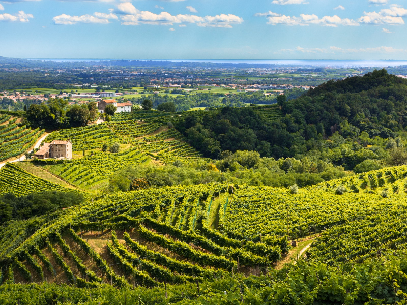 Prosecco Hills Day Retreat