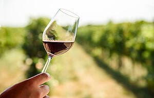 Wine tasting and panoramic drive