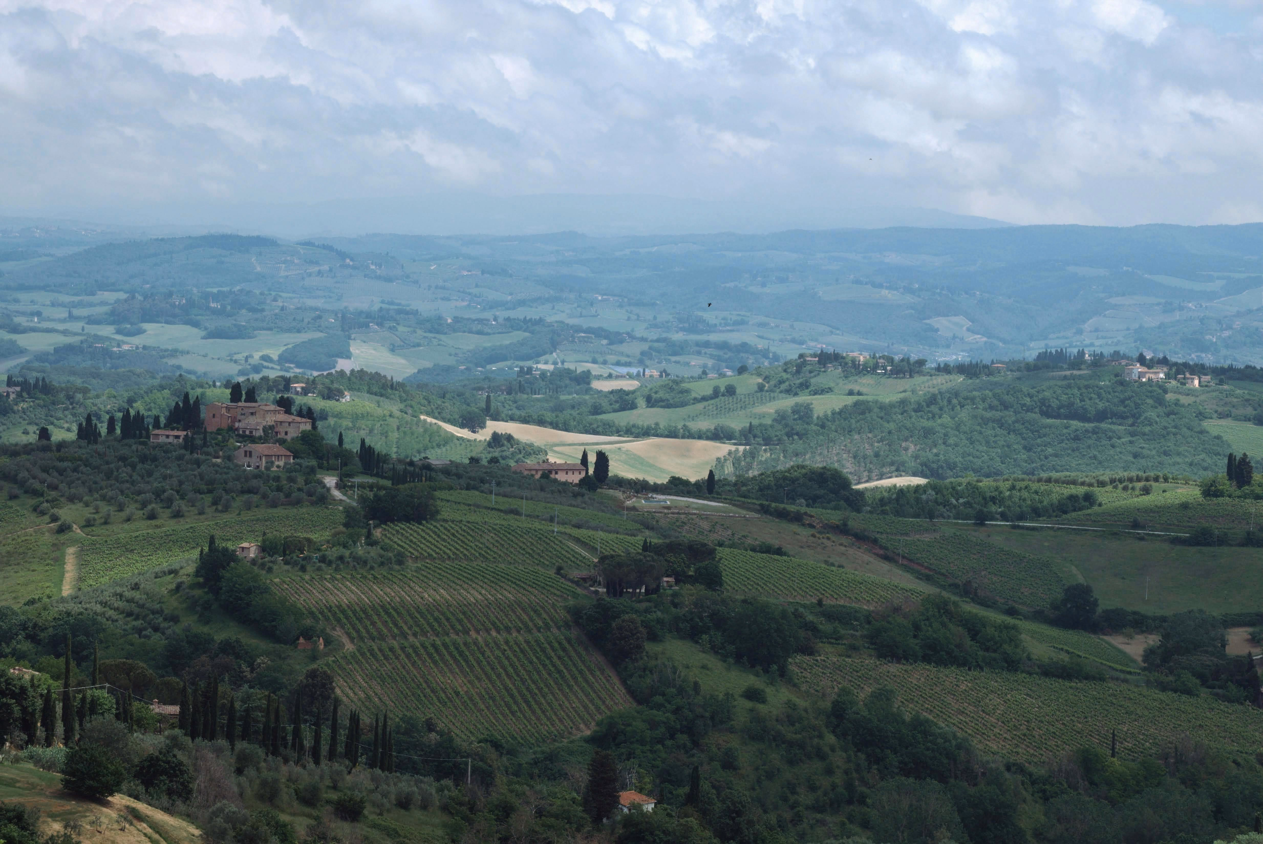 Florence