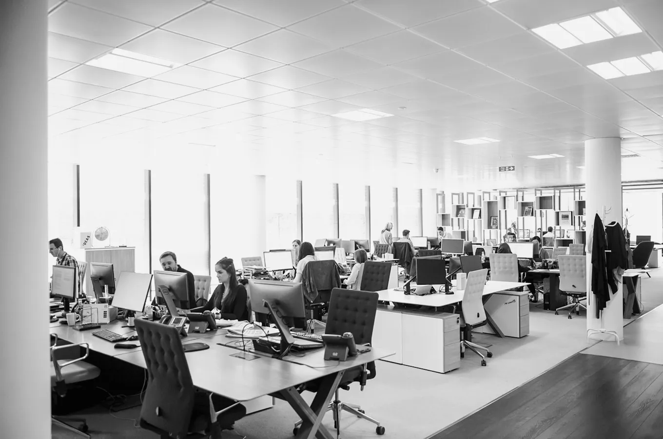 Open-plan office with multiple employees working at desks with computers and office chairs.