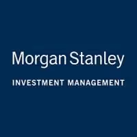 View from the Castle: Morgan Stanley Investment Management